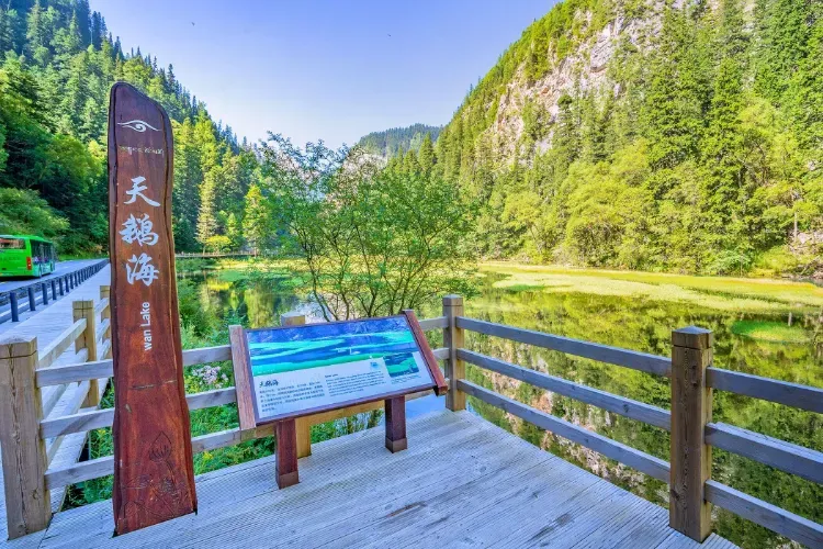 クラシック九寨溝 1日/2日観光ツアー