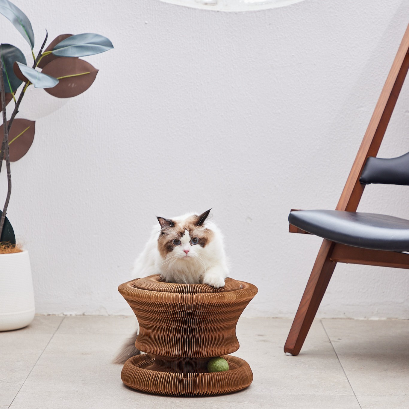 PUFF PASTRY EGG TART BED