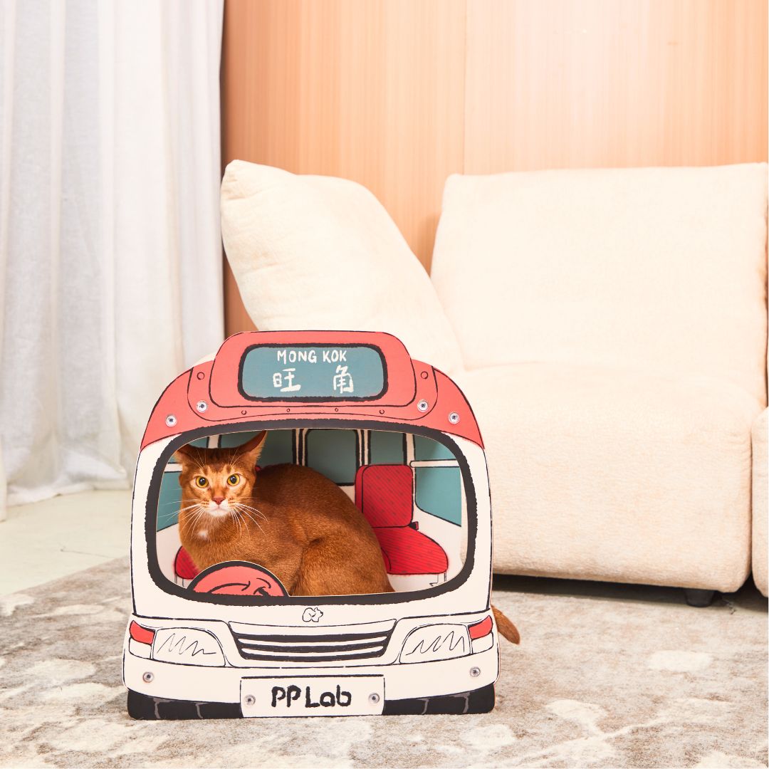 Hong Kong Mini Bus Cat Scratcher