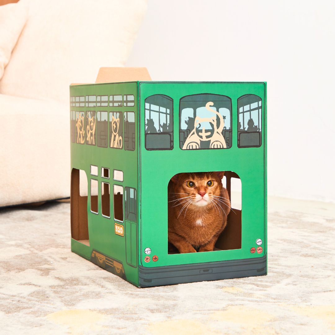 Hong Kong Tram Cat Scratcher