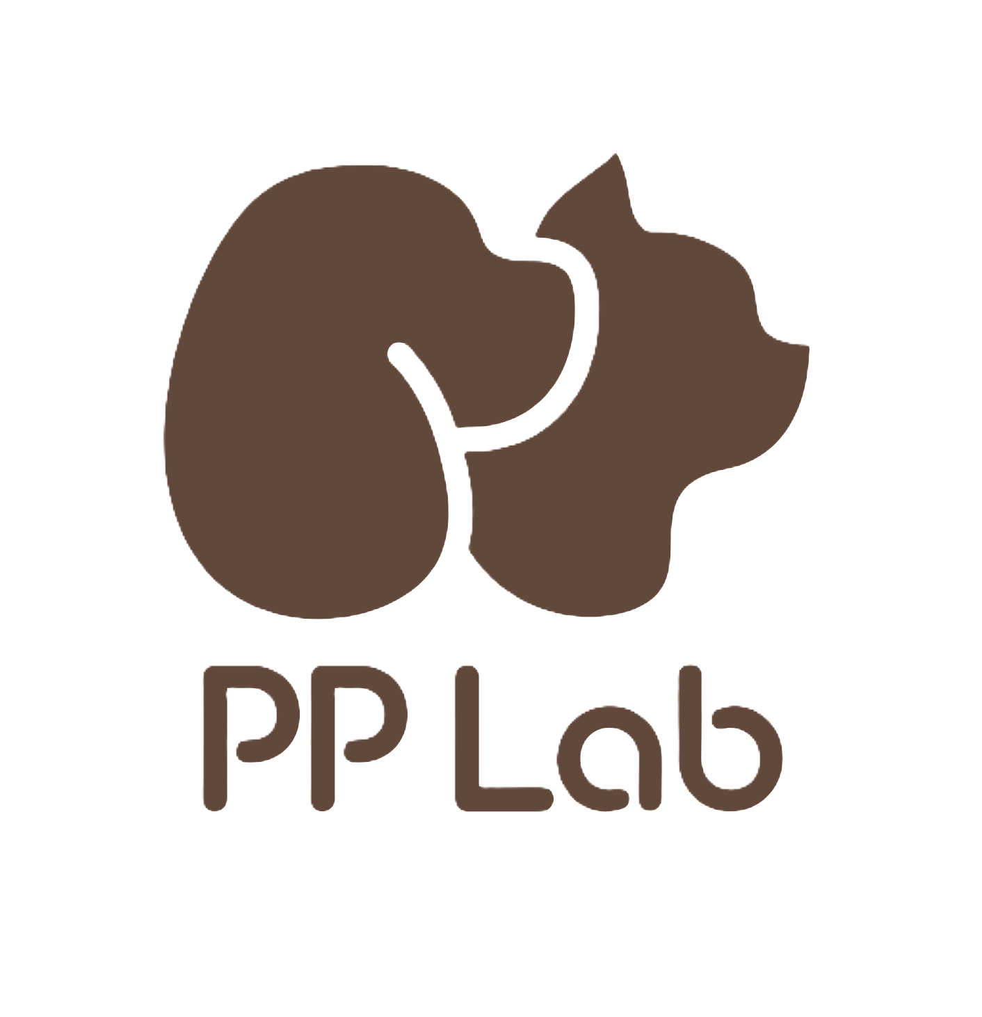 PP Laboratory