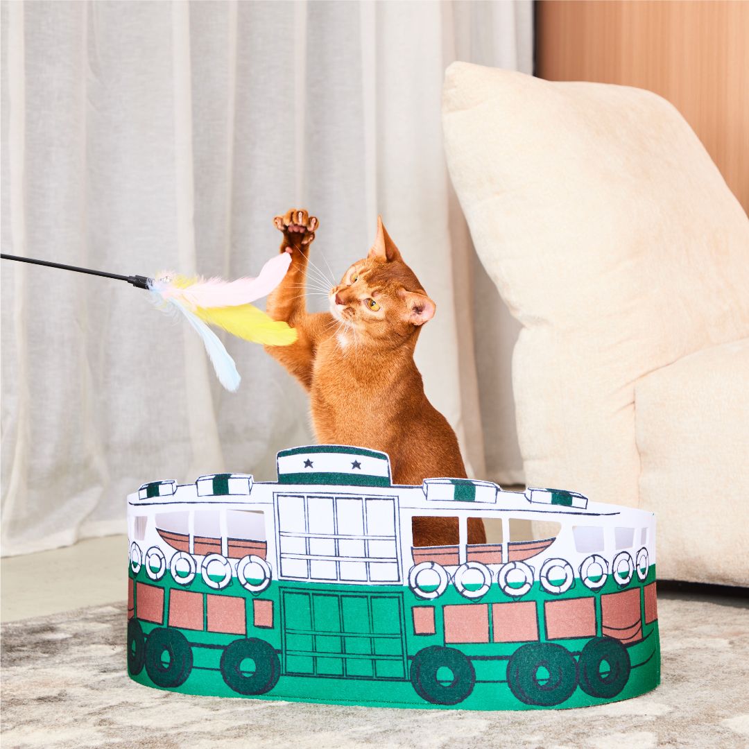  Hong Kong Ferry Cat Scratcher
