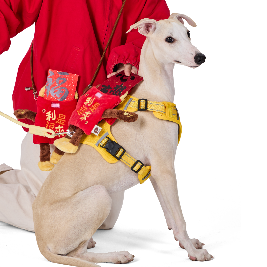 Red Pocket Bag | Accessories