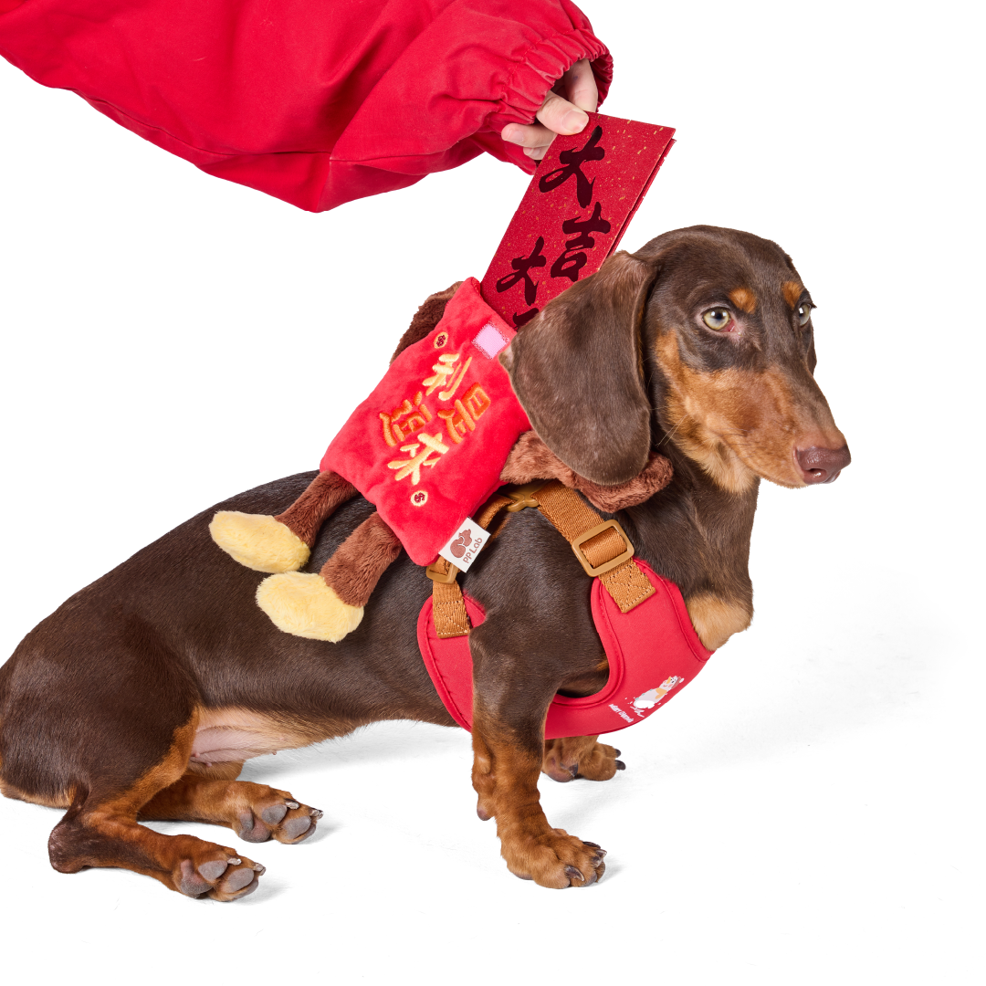 Red Pocket Bag | Accessories