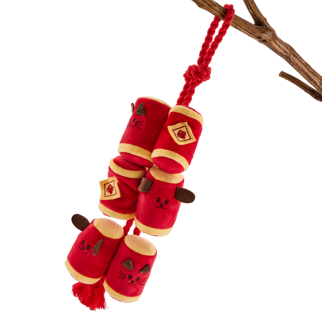 Firecrackers | Sniffing Toy