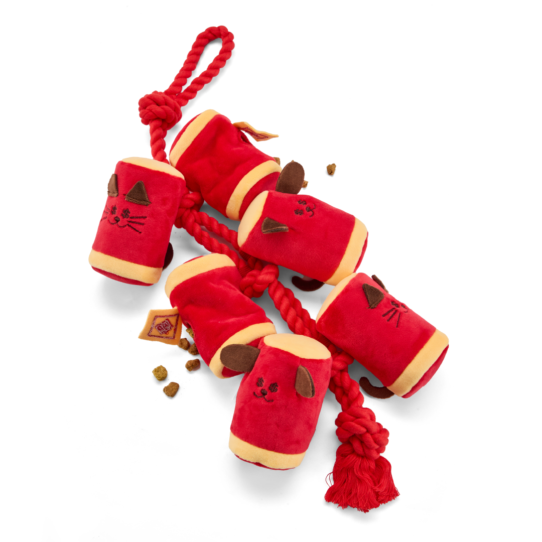Firecrackers | Sniffing Toy