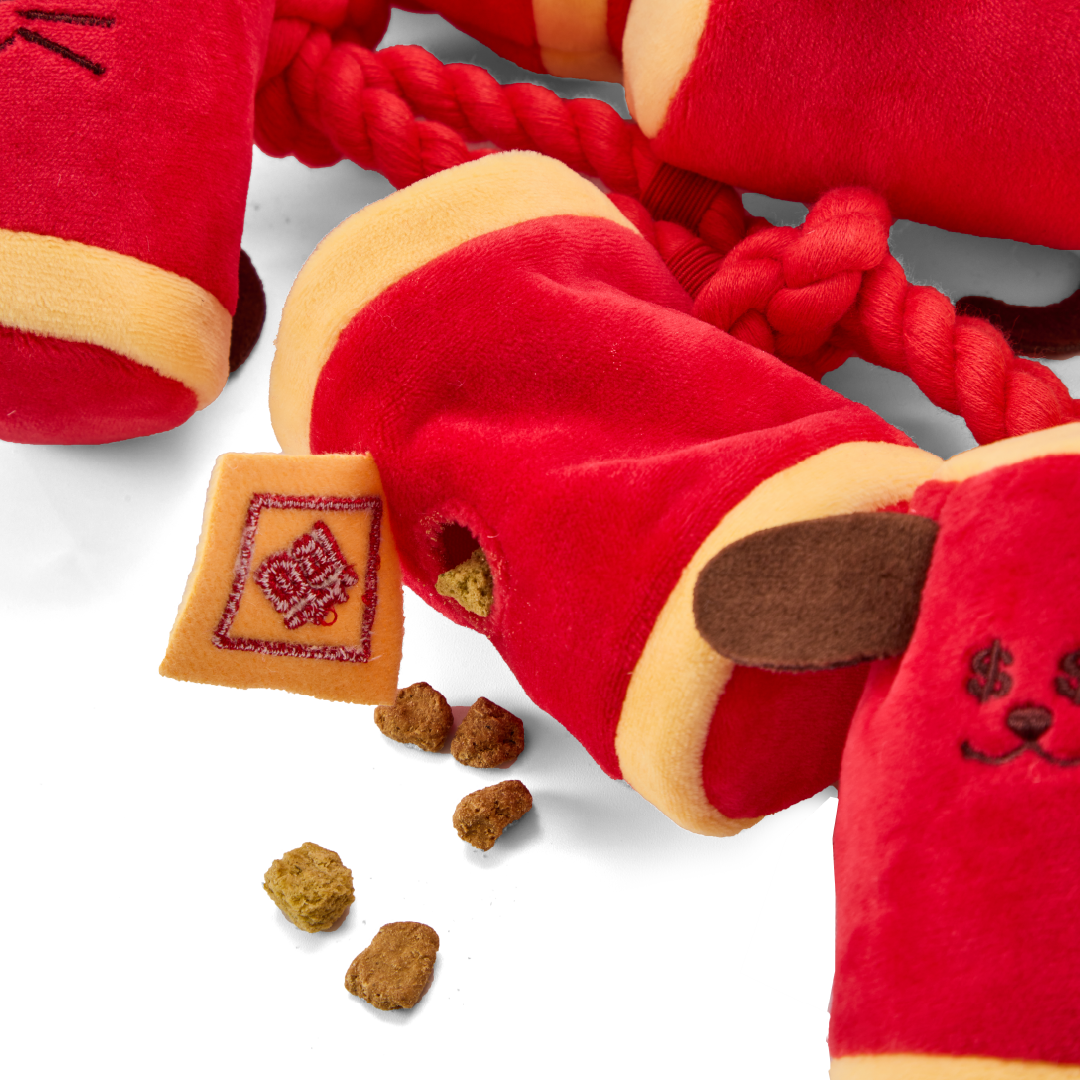 Firecrackers | Sniffing Toy