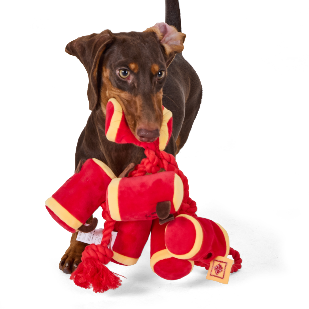 Firecrackers | Sniffing Toy