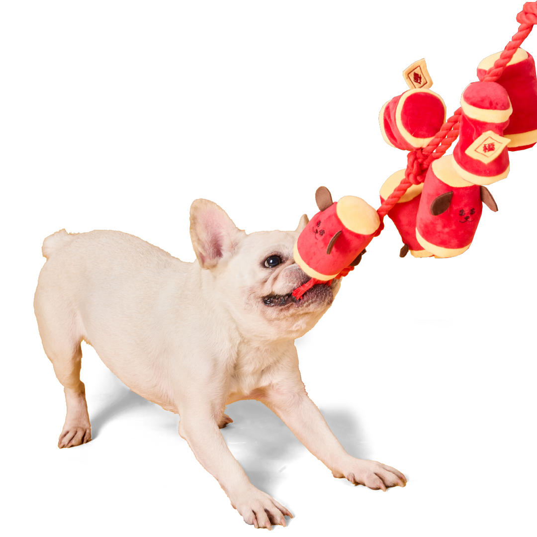 Firecrackers | Sniffing Toy