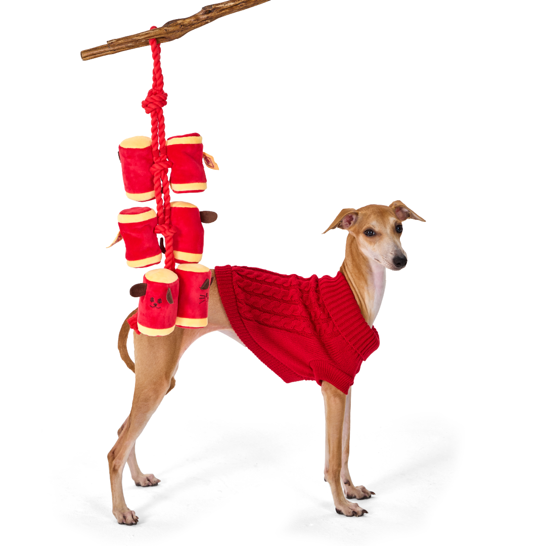 Firecrackers | Sniffing Toy