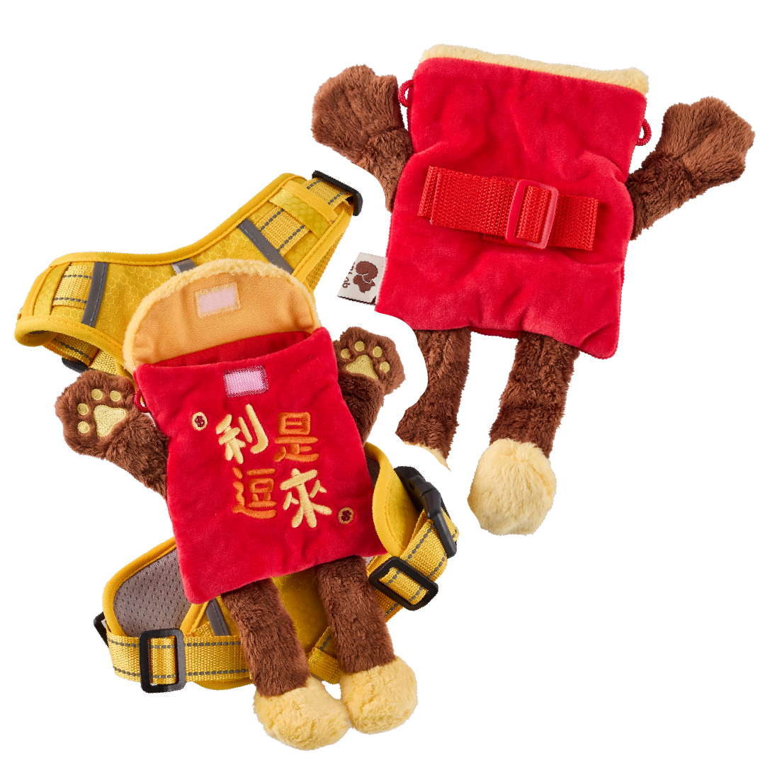 Red Pocket Bag | Accessories