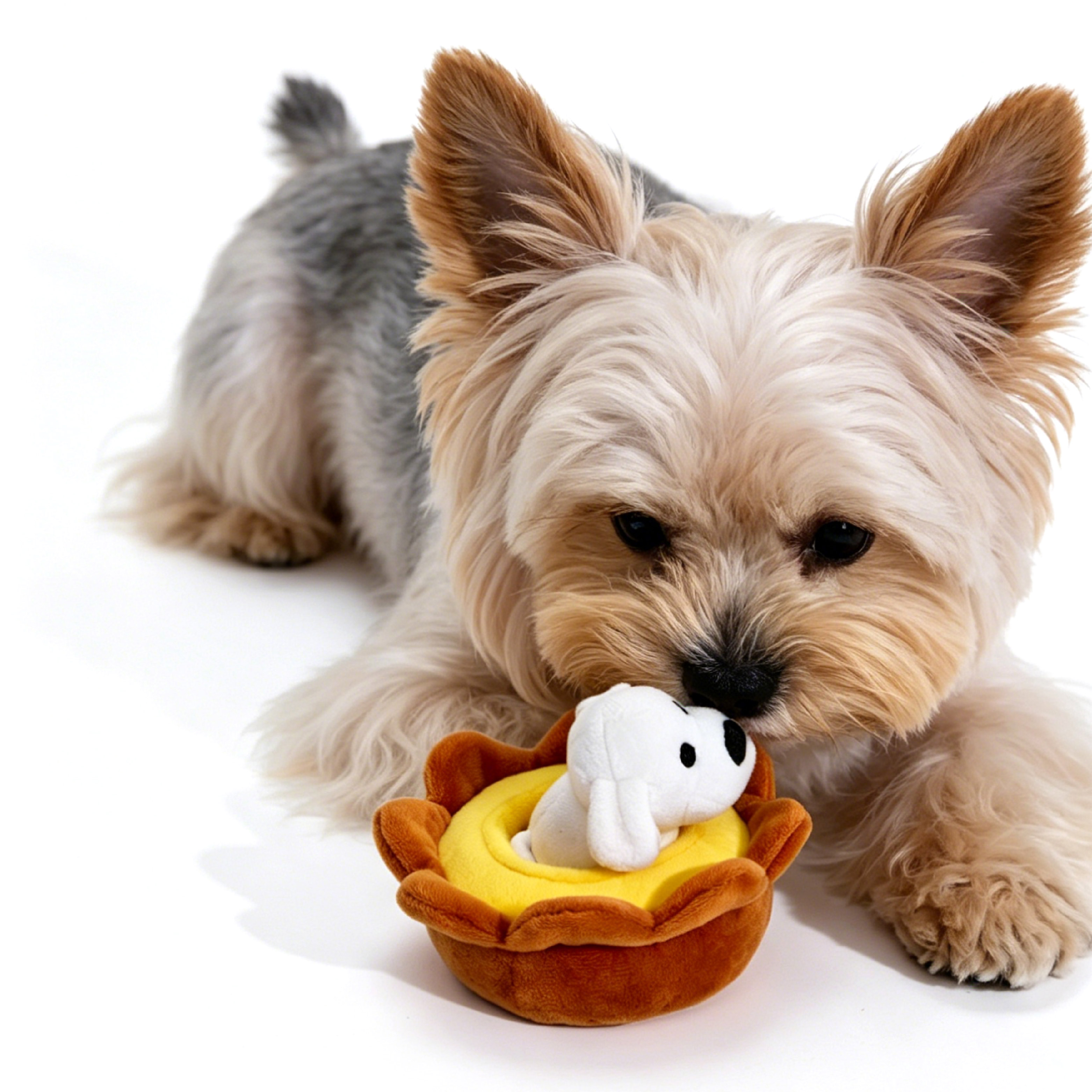 matsui DOGS Street Food Blind Box | Sniffing Toy 