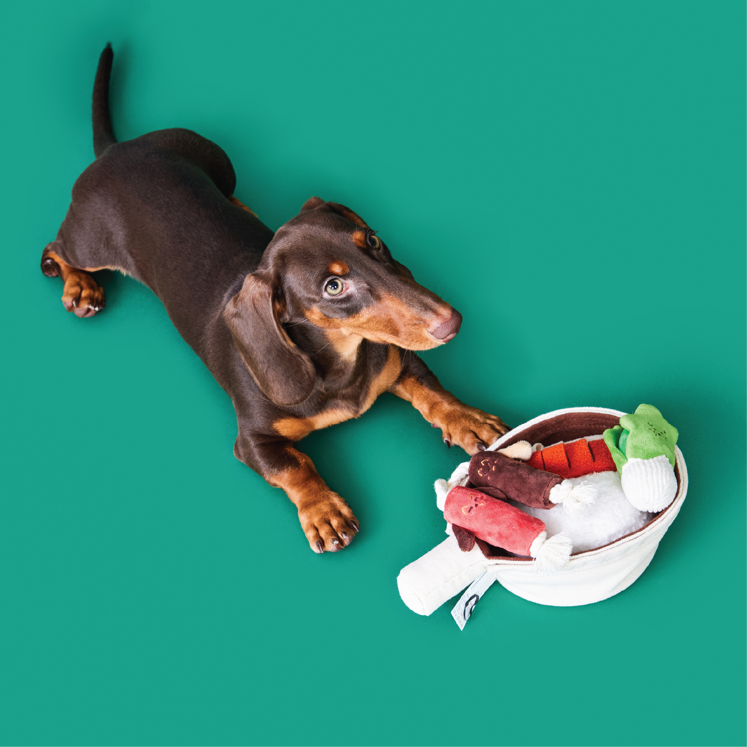 Claypot rice | Sniffing Toy