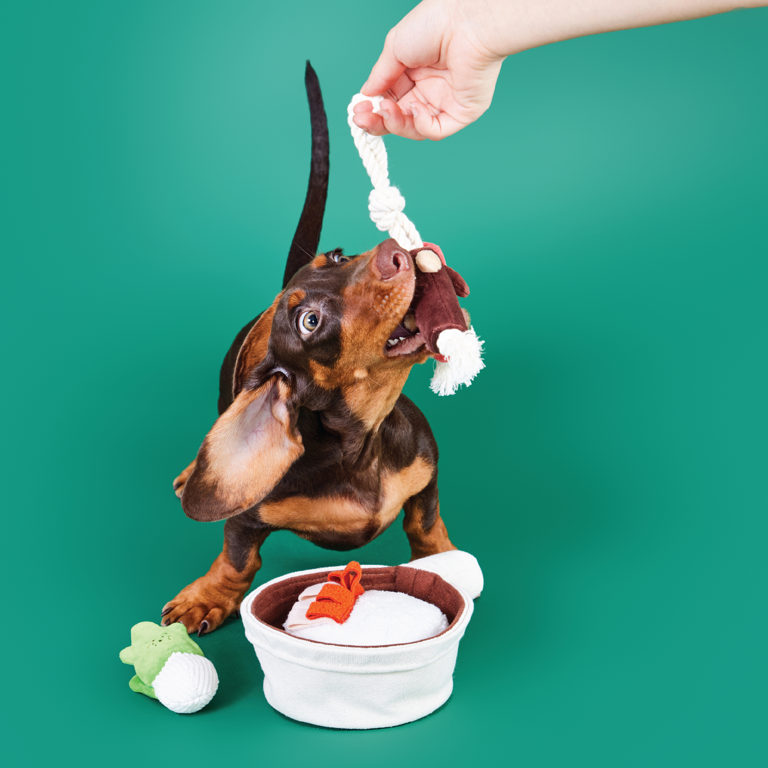 Claypot rice | Sniffing Toy