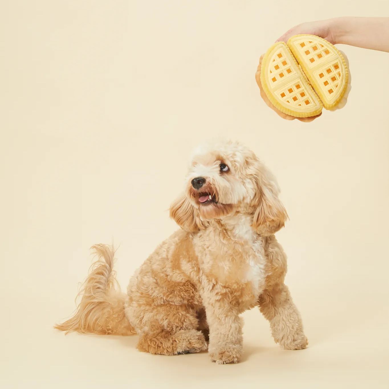 Waffle | Sniffing Toy