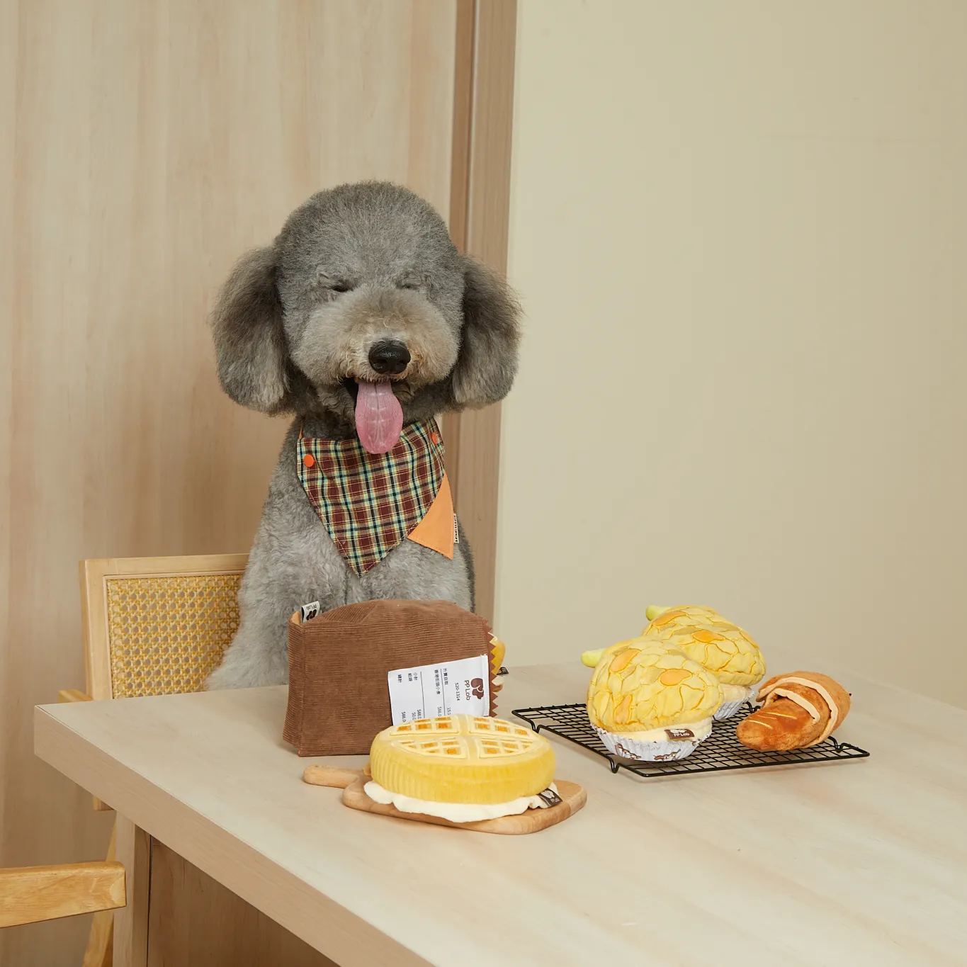 Paper Bag | Sniffing Toy 