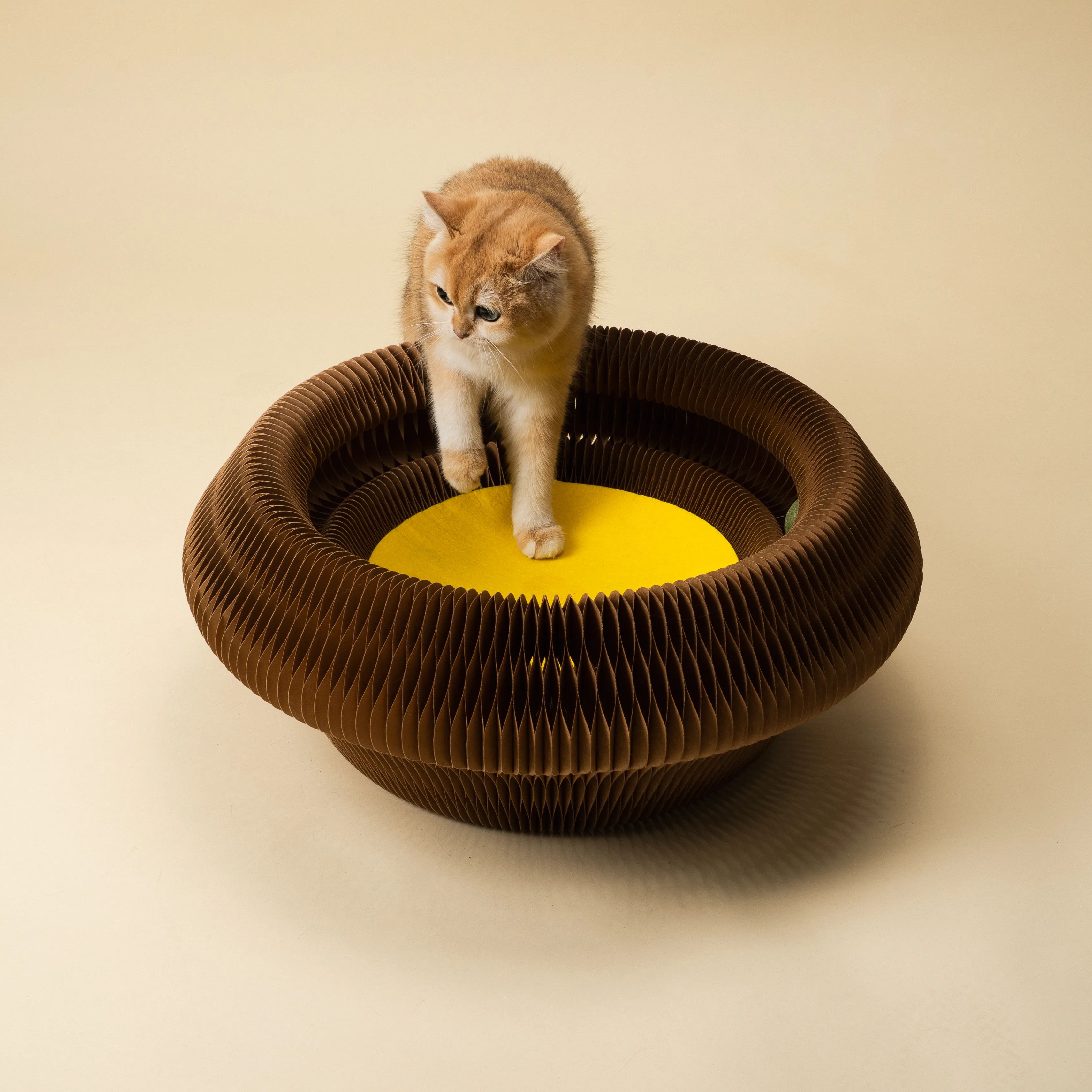 PUFF PASTRY EGG TART BED