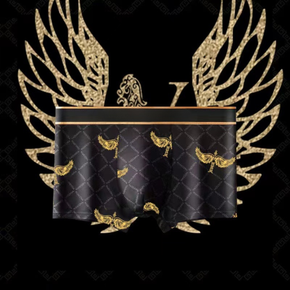 【Magnetic Underwear】Health Energy Men's Underwear