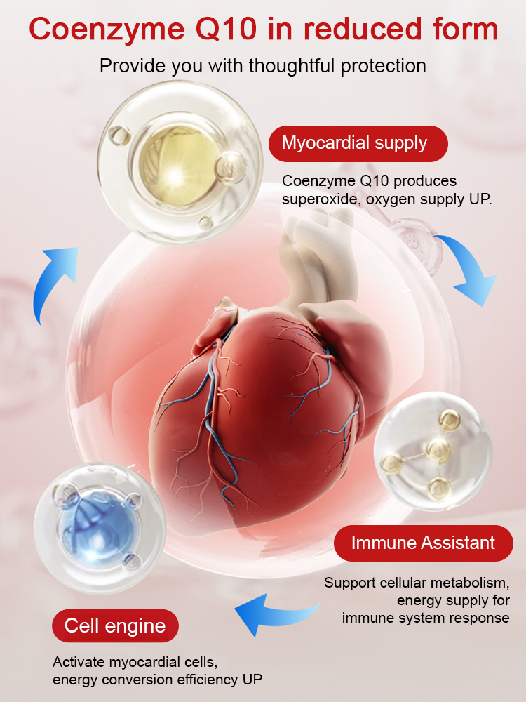 [Clean Blood Vessels, Protect the Heart] Coenzyme Q10 Soft Capsules