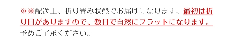 玄関マット 屋外マット 50x80cm 40x60cm 60x90cm 80x120cm ドアマット スタンダードマット 吸水マット 屋内 屋外 無地タイプ 洗える 廊下敷き 滑り止め 泥落とし 足拭き カット可能 業務用 自宅用 店舗 倉庫 寮 シンプル 送料無料