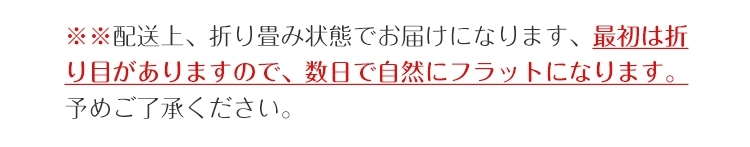 玄関マット 屋外マット 50x80cm 40x60cm 60x90cm 80x120cm ドアマット スタンダードマット 吸水マット 屋内 屋外 無地タイプ 洗える 廊下敷き 滑り止め 泥落とし 足拭き カット可能 業務用 自宅用 店舗 倉庫 寮 シンプル 送料無料