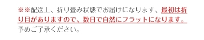 玄関マット 屋外マット 50x80cm 40x60cm 60x90cm 80x120cm ドアマット スタンダードマット 吸水マット 屋内 屋外 無地タイプ 洗える 廊下敷き 滑り止め 泥落とし 足拭き カット可能 業務用 自宅用 店舗 倉庫 寮 シンプル 送料無料