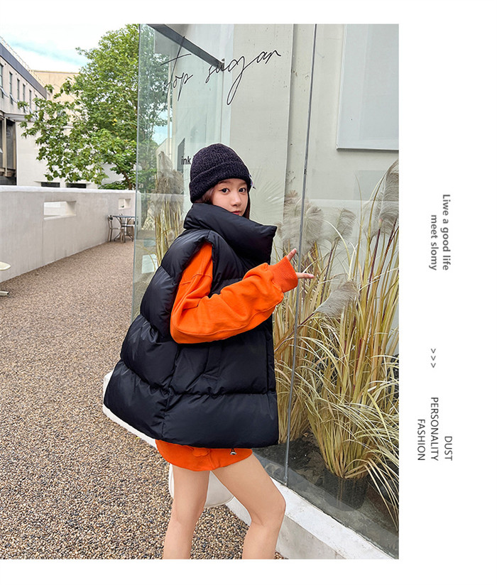 <br>ベスト レディース  大きいサイズ アウター ジャケット ベスト 中綿 フェイクダウン 上着 羽織り ハイネック 軽い 軽量 秋 フェイク ダウンベスト 通勤 通学 暖かい 無地 お出かけ 秋冬 30代 ノースリーブ ゆったり 体型カバー 大人可愛い 送料無料