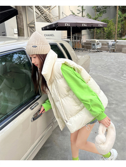 <br>ベスト レディース  大きいサイズ アウター ジャケット ベスト 中綿 フェイクダウン 上着 羽織り ハイネック 軽い 軽量 秋 フェイク ダウンベスト 通勤 通学 暖かい 無地 お出かけ 秋冬 30代 ノースリーブ ゆったり 体型カバー 大人可愛い 送料無料