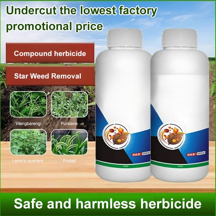 Premium Earth Fertilizer