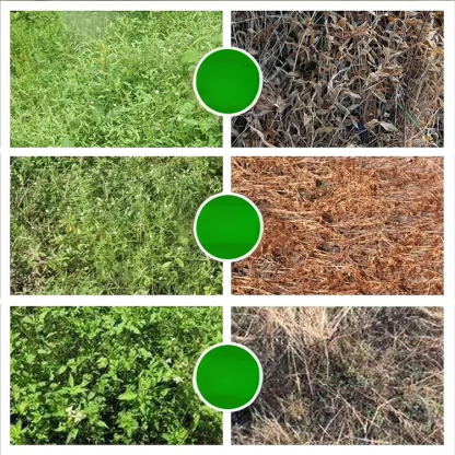 Premium Earth Fertilizer