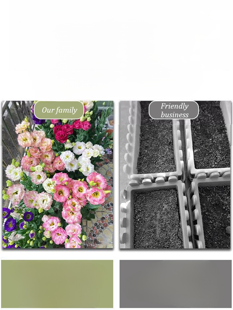 Seeds of Four Seasons Blooming Double Eustoma