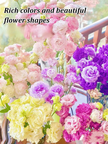 Seeds of Four Seasons Blooming Double Eustoma