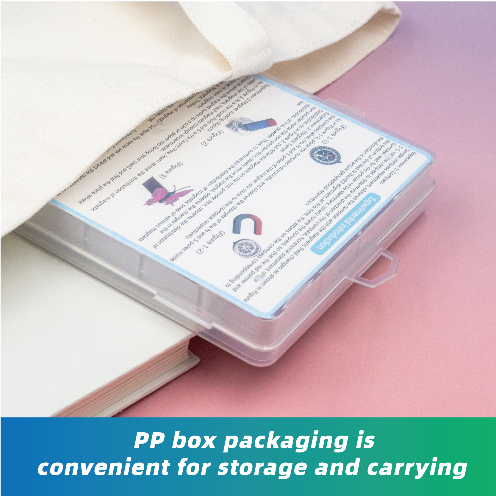 GATORO STEM Physics Magnet Set | Plastic Boxed