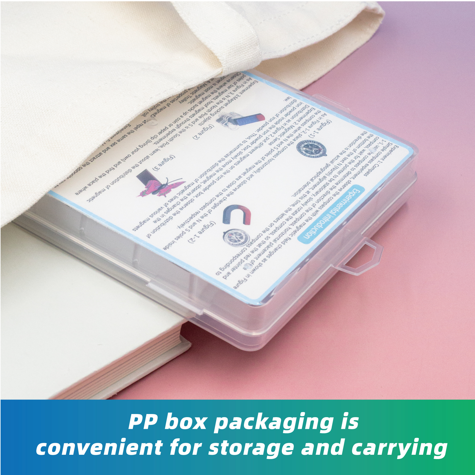 GATORO STEM Physics Magnet Set | Plastic Boxed