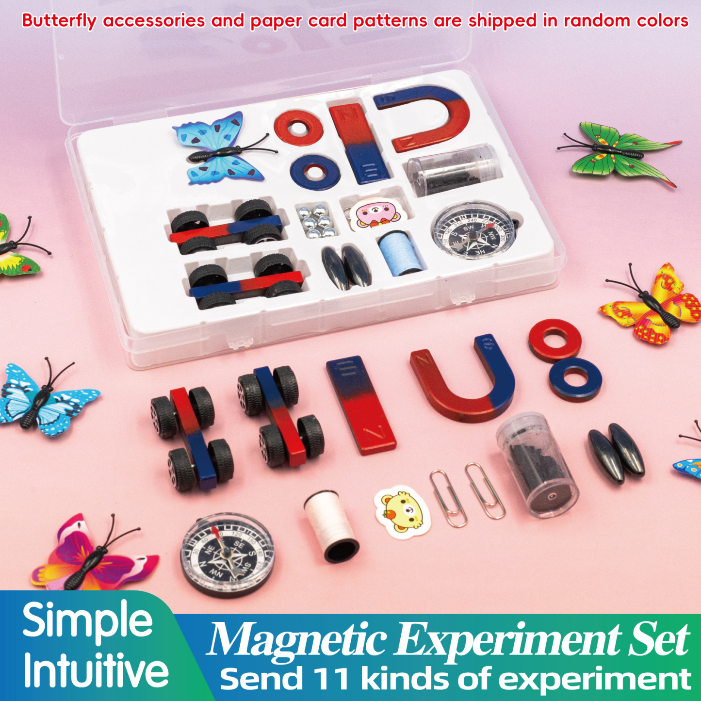 GATORO STEM Physics Magnet Set | Plastic Boxed