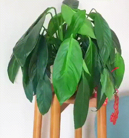 9535a65f-8855-45a3-aae1-0a7b68cdb788.gif