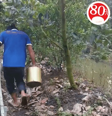 0002.gif