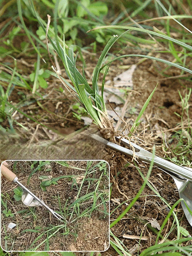 제초 도구 세트