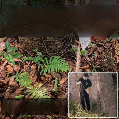 【무독성 및 토양 오염 없음】헥사지논 제초제