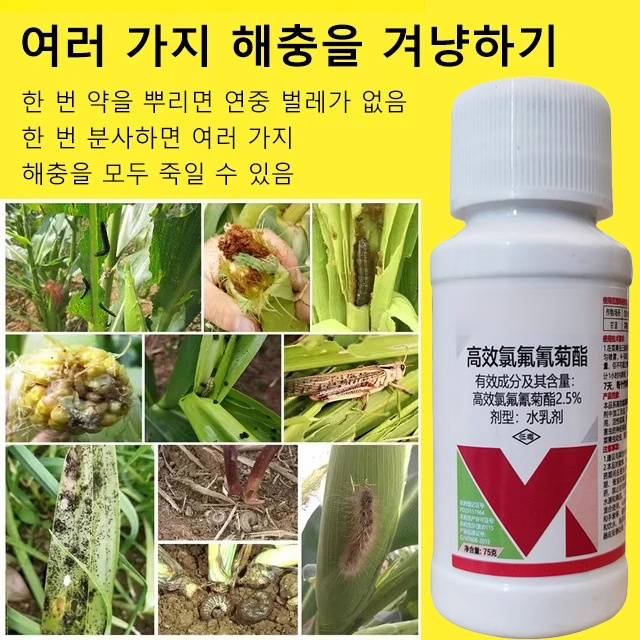 해충 적수 베타-사이플루트린 야채 과수 살충제