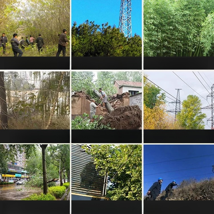 【무독성 및 토양 오염 없음】헥사지논 제초제