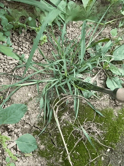 제초 도구 세트