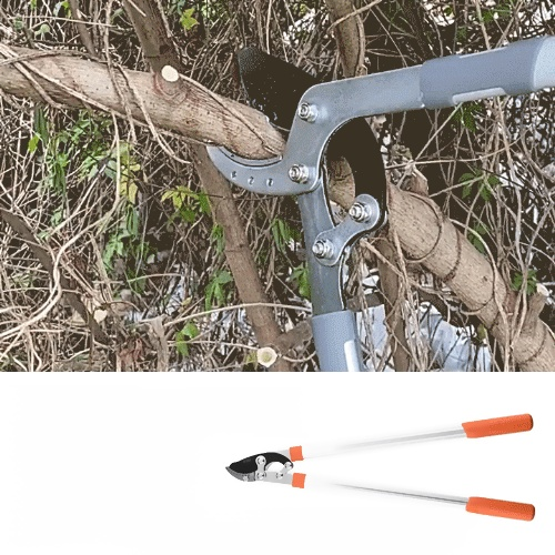 과수 전지 가위