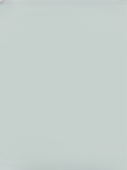 【오늘 한정, 1+1 행사】흰머리 커버+머리숱 증가 내추럴 가발