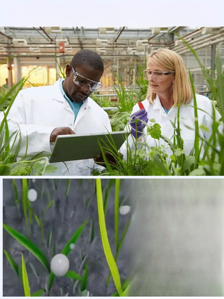 【농협 추천 2025 초강력 제초제】10분 만에 1000종 이상의 내성 잡초 박멸【1병으로 10,000㎡ 제거 가능】