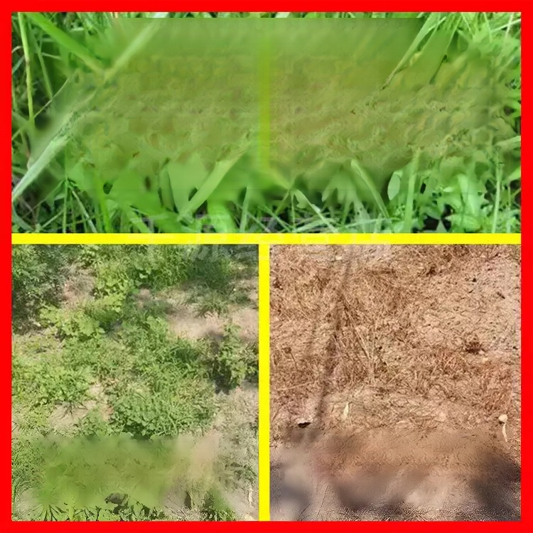 【농림축산식품부 도입 제품】 한 번에 제거, 2년 동안 새로운 잡초 없음, 지속적인 효과