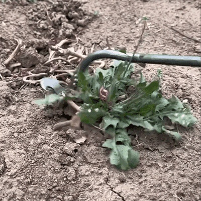 망간강 원에 제초용 호미