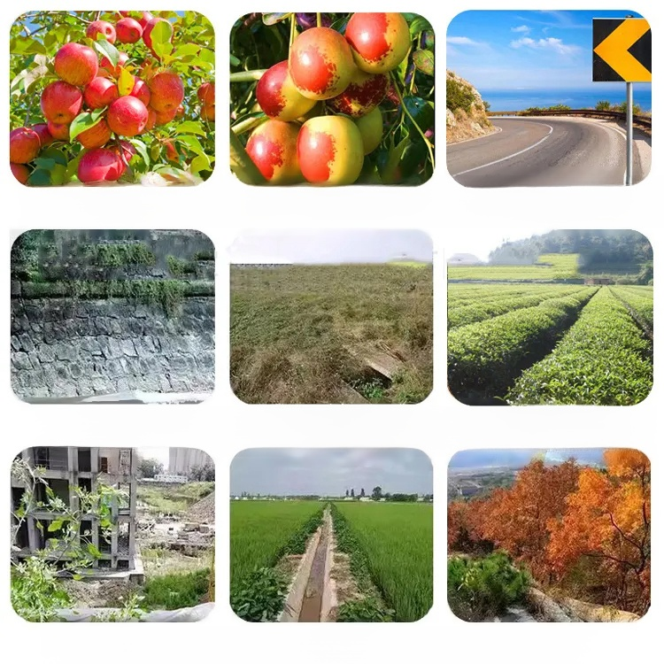 【농림축산식품부 도입 제품】 한 번에 제거, 2년 동안 새로운 잡초 없음, 지속적인 효과