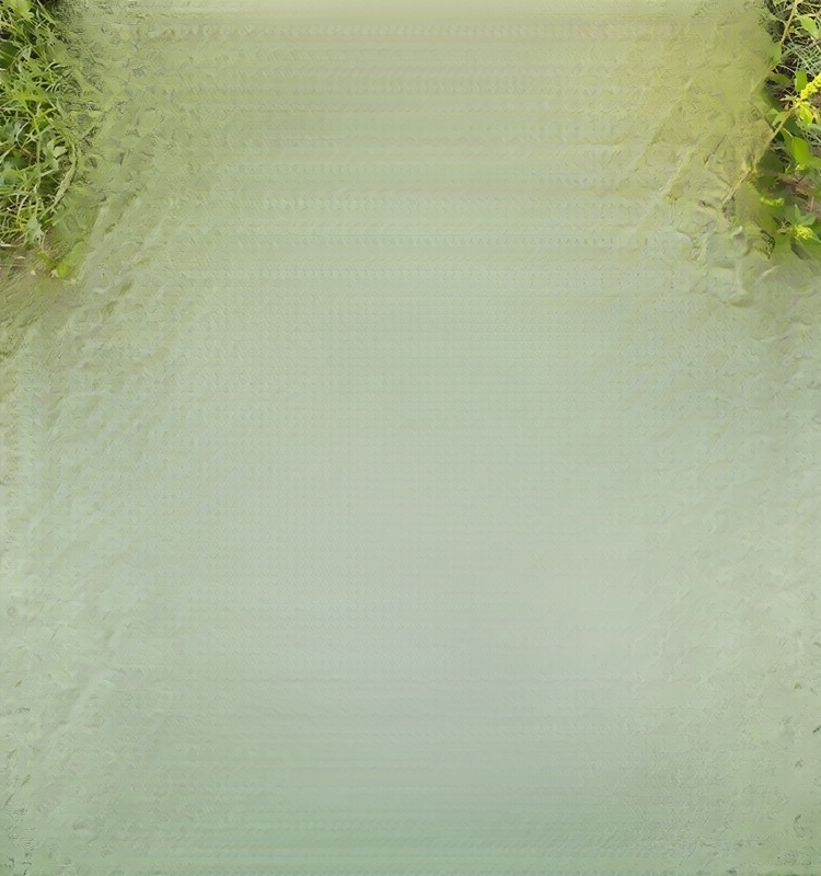 【글리포세이트 제초제】한정 세일! 25봉지 49,800원, 재고 150개 한정!