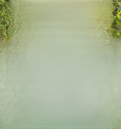 【글리포세이트 제초제】한정 세일! 25봉지 49,800원, 재고 150개 한정!